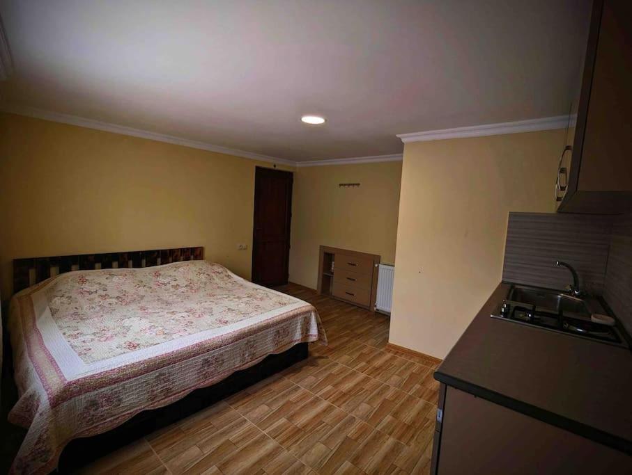 Borjomi Veranda Buitenkant foto